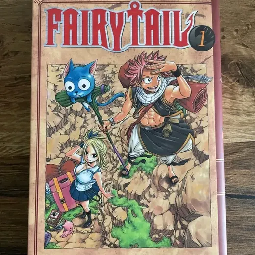 Tome 1 de fairytail