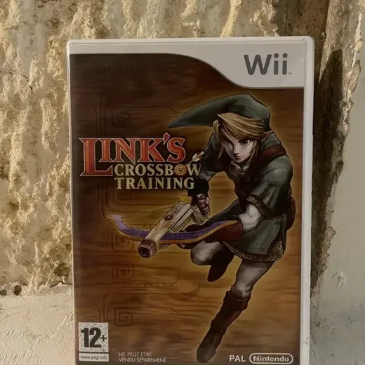 Link’s crossbow training