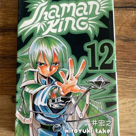 Tome 12 shaman King