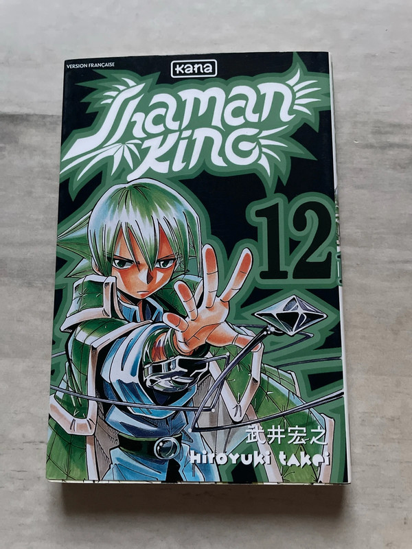 Tome 12 shaman King